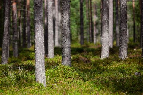 seksilelukauppa turku|Seksilelukauppa Sinua Varten